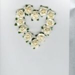 12 white Roses