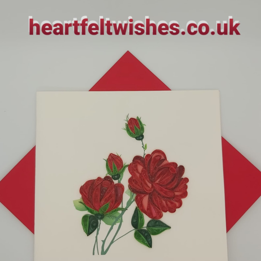 Shop Primary Image Shop Primary Image