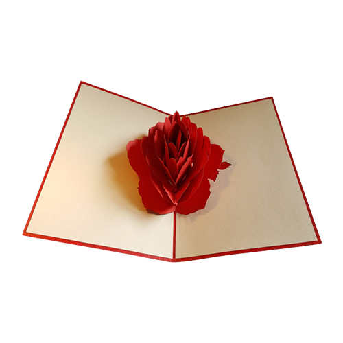 Shop Primary Image Shop Primary Image